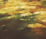 Background 1 - Grand Knights History