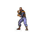 Panther - The Ninja Warriors / Ninja Warriors Again