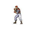 Snake - The Ninja Warriors / Ninja Warriors Again