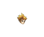 Face 11 - Grand Knights History