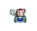 Amy Rose (Classic, Sonic Drift, Super Mario Kart-Style) - Sonic the Hedgehog Customs