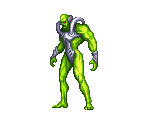 Zelos - The Ninja Warriors / Ninja Warriors Again