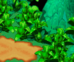 Rose Way 1 - Super Mario RPG: Legend of the Seven Stars
