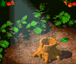 Forest Maze 1 - Super Mario RPG: Legend of the Seven Stars