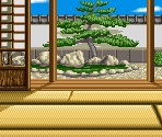 Ryoko Stage - Fighter's History