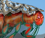 Giant Flea - Serious Sam Double D