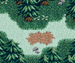 Border Forest 09 - Lufia: The Ruins of Lore