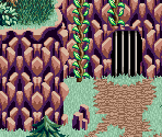 Border Forest 12 - Lufia: The Ruins of Lore
