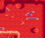 Inside the Behemoth 05 - Lufia: The Ruins of Lore