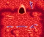 Inside the Behemoth 30 - Lufia: The Ruins of Lore