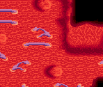 Inside the Behemoth 31 - Lufia: The Ruins of Lore