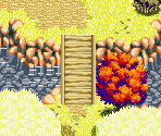 Meadow Road 03 - Lufia: The Ruins of Lore
