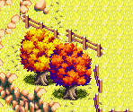 Meadow Road 05 - Lufia: The Ruins of Lore
