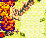 Meadow Road 09 - Lufia: The Ruins of Lore