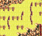 Meadow Road 10 - Lufia: The Ruins of Lore