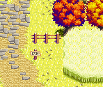 Meadow Road 11 - Lufia: The Ruins of Lore