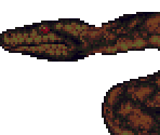 Anaconda - Gon (JPN)