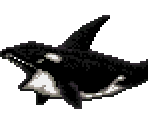 Orca - Gon (JPN)