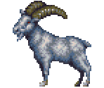 Ibex - Gon (JPN)