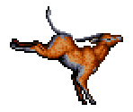 Antelope - Gon (JPN)