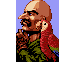 Character Portraits - Aero Fighters 2 / Sonic Wings 2