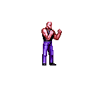 Street Fighter - Jungle no Ouja Tar-chan (JPN)