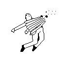 Octopus - Fly Guy