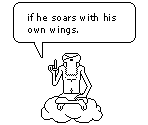 Sage - Fly Guy