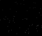 Stars - Fly Guy