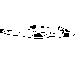 Underwater Creatures - Fly Guy