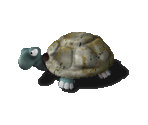 Turtle - Moorhuhn 3: Es gibt Huhn