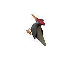 Woodpecker - Moorhuhn 3: Es gibt Huhn