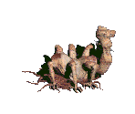 Centaur - Fallout