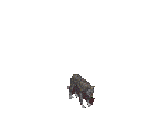 Dog - Fallout