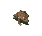 Mole Rat - Fallout