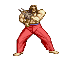 Piotobich - Great Fighter