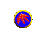 Flight & Shock Spring Pads - Banjo-Kazooie