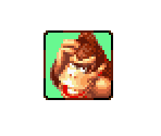 Donkey Kong - Mario Kart: Super Circuit