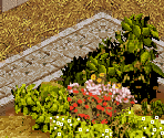 Urbania (Morning) - The Urbz: Sims in the City