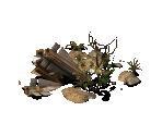 Miscellaneous - Fallout Tactics: Brotherhood of Steel