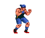 Salvador - Shadow Fighter