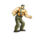 Haggar - Final Fight CD
