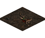 Tristram Ground - Diablo 2 / Diablo 2: Lord of Destruction