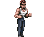 Williams - Double Dragon Advance