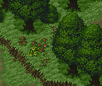 Forest - Angelique Tenkuu no Requiem (JPN)