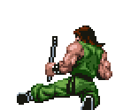 Chin Taimei - Double Dragon Advance