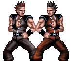 The Twin Tigers - Double Dragon Advance