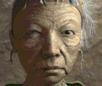 Elder - Fallout 2