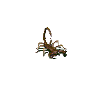 Radscorpion (Baby) - Fallout 2