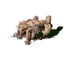 Centaur - Fallout 2